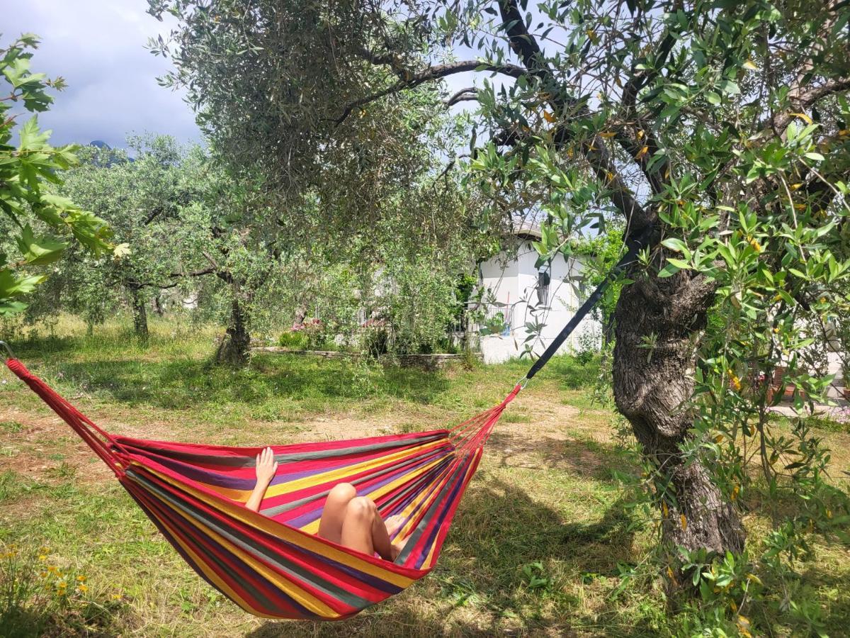 Ioannis Houses - Gemuetliches Ferienhaus Im Olivenhain Skala Potamia  Buitenkant foto
